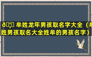 🦅 牟姓龙年男孩取名字大全（牟姓男孩取名大全姓牟的男孩名字）